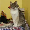 Отзыв от Анжела Бессонова